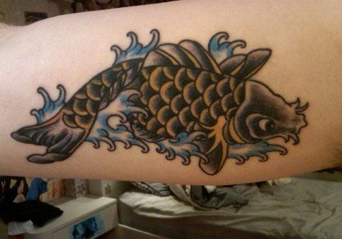 Diverse - black-koi.jpg